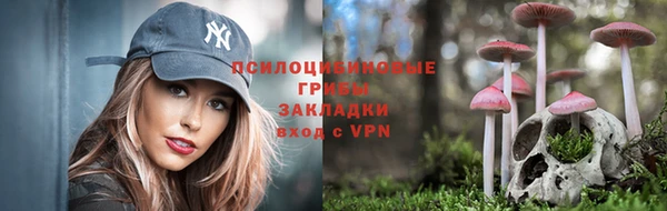 спиды Абинск