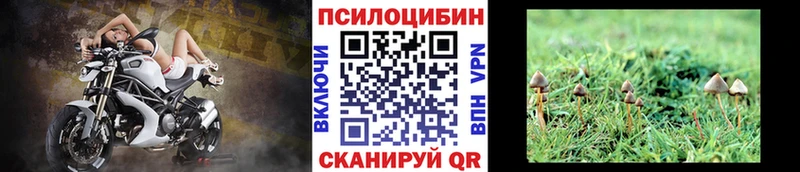 Галлюциногенные грибы Cubensis  купить  цена  Бугуруслан 